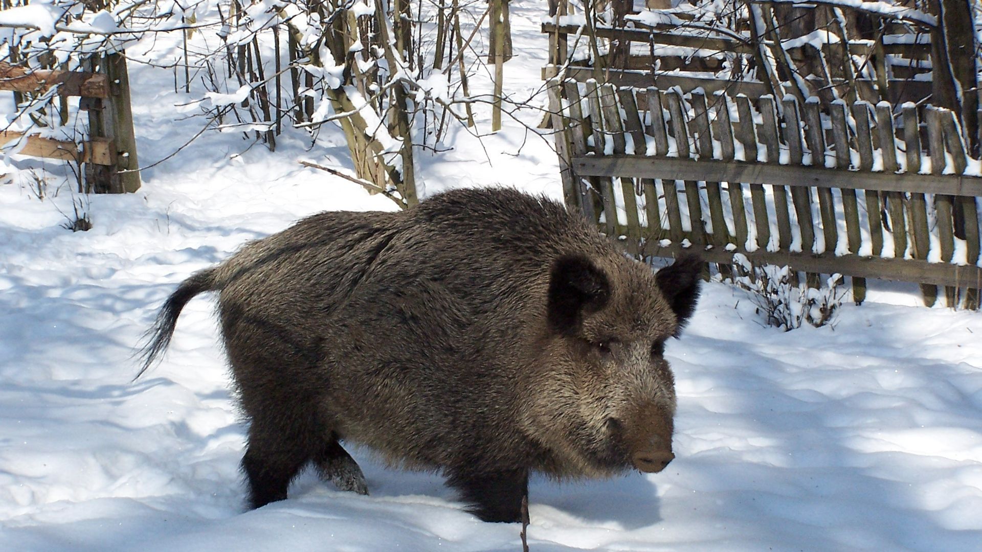 Projekt bez tytułu2