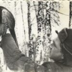 1966-3 W.Podolec hoduje bażanty