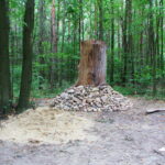 2005-094 pień na kapliczkę Dar Kol. Celińskiego