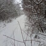 Wigilijne 11-12-22-5