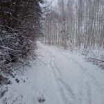 Wigilijne 11-12-22-6