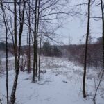 Wigilijne 11-12-22-7