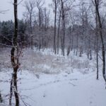 Wigilijne 11-12-22-8