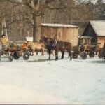1985-3 Anglicy i Szkoci na polowaniu w Janowie