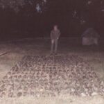 1986-26 polowanie dewizowe na kury