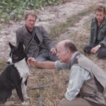 1986-29 polowanie dewizowe na kury