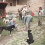 1986-6 polowanie dewizowe na kury