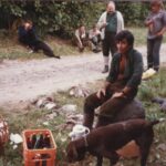 1986-7 polowanie dewizowe na kury