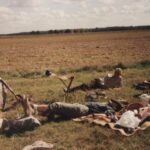 1991-016 kuropatwy dewizowe obw. 4 i 10