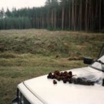 1992-014 wiosna w obw. 164 - sezon na piestrzenice