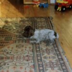 1992-026 Nora już w domu