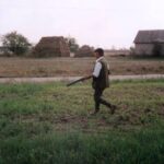 1992-029 dewizowe kury - Francuzi 11-15.09.