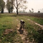 1992-045 Nora ma 3 miesiące i już nosi kury