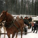 1993-014 polowanie 7-9.01.93