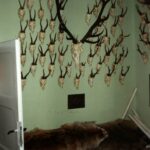 1993-032 rykowisko - L.Zaroślak za czasów Państwa Cylców