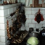 1993-033 rykowisko -grzyby obrodziły