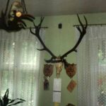 1993-036 nad biurkiem Pana Ryszarda