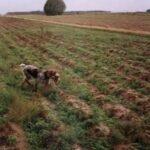 1993-057 a teraz sobie ponoszę