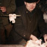 1993-094 i znów jedli 13.11.93