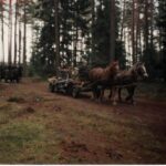 1993-109 polowanie wigilijne w obw. 164 - 18-19.12.