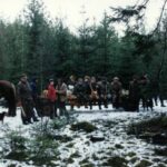 1993-119 polowanie wigilijne w obw. 164 - 18-19.12.