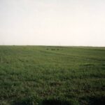 1994-007 wiosenne parkoty 7 zajęcy na Niedźwiedziu