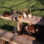 1994-009 na rogaczach w Romanowie 15.05.94