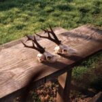 1994-010 na rogaczach w Romanowie 15.05.94