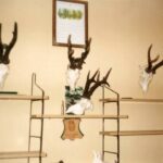 1994-022 medalowe kozły Włodka Podolca