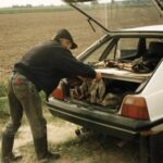 1994-028 polowanie dewizowe na kury 08-15.09.94