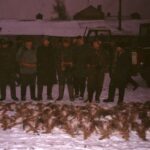 1995-023 Janów - 65 zajęcy w 18 strzelb