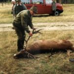 1997-006 polowanie dewizowe 005