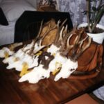 1997-009 Romanów - wycena kozłów