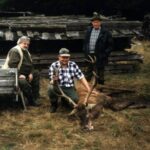 1997-012 rykowisko Zaroślak