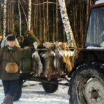 1997-023 Zamek - zające