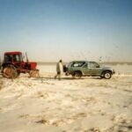 1998-001 odłowy zajęcy