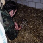 1999 - 037 warchlaki Krzysia Kołodziejskiego