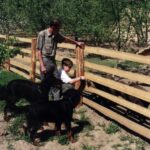 2000 - 007 L. Konstantynów - dziki w zagrodzie