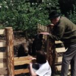 2000 - 014 L. Konstantynów - dziki w zagrodzie