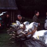 2000 - 068 polowanie dewizowe w obw. 164