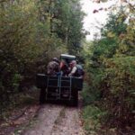 2000 - 072 Las Konstantynowski