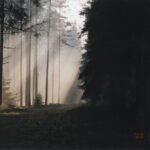 2000 - 095 hubertowskie w obw. 164