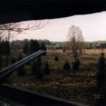 2000 - 130 hubertowskie w obw. 164 001