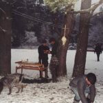 2001-006 polowanie noworoczne w obw. 164