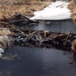 2001-031 zima w obw. 164