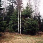 2001-036 nowe ambony w obw. 164