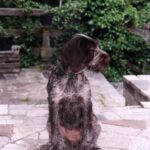 2004-030 w Olszynach