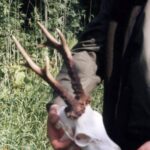 2004-040 - nakozłach w obw. 1 i 5