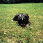 2004-051 Vita nad Bugiem