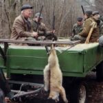 2004-066 hubertowskie